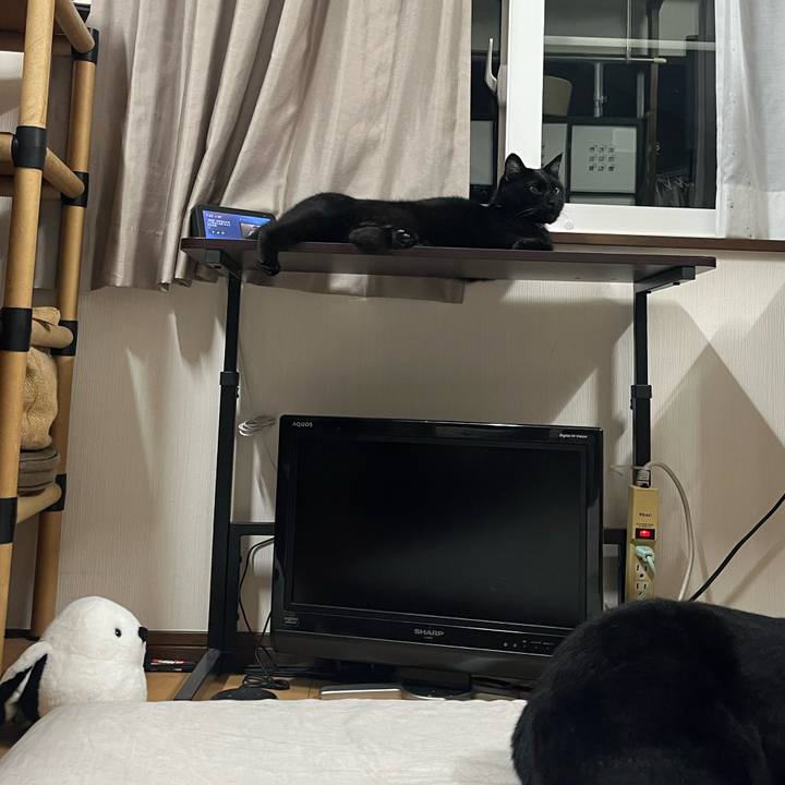 Eaecc29e 4ddc 4f9c ac59 2f2103b8499e 1717208004946