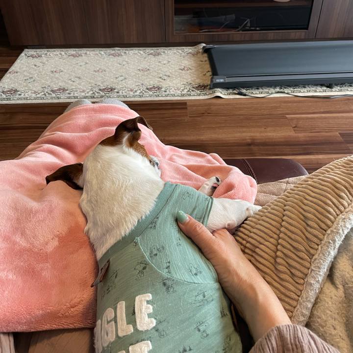 Eaeccb9f 4962 4684 9018 b6dfda97fd11 1716878455278