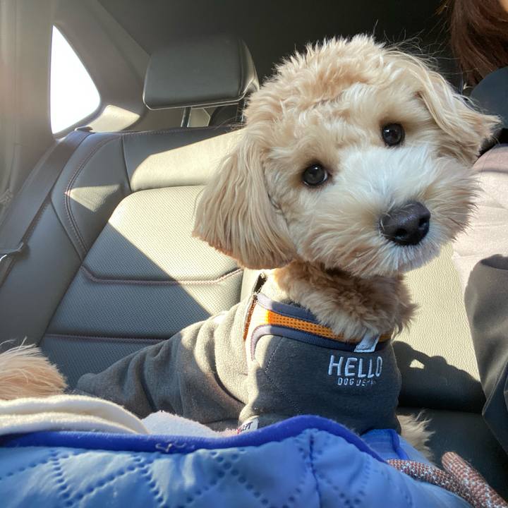 Eaecdee4 b346 4d50 8903 51afd58ebb28 1757308565647