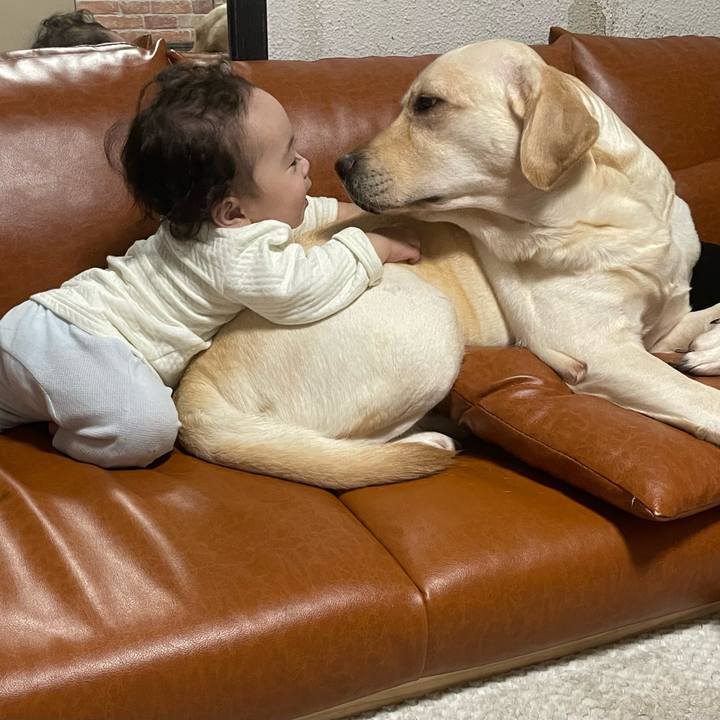 Eaed0f7b 7040 42d5 aecc 9c92608919f5 1733312419886