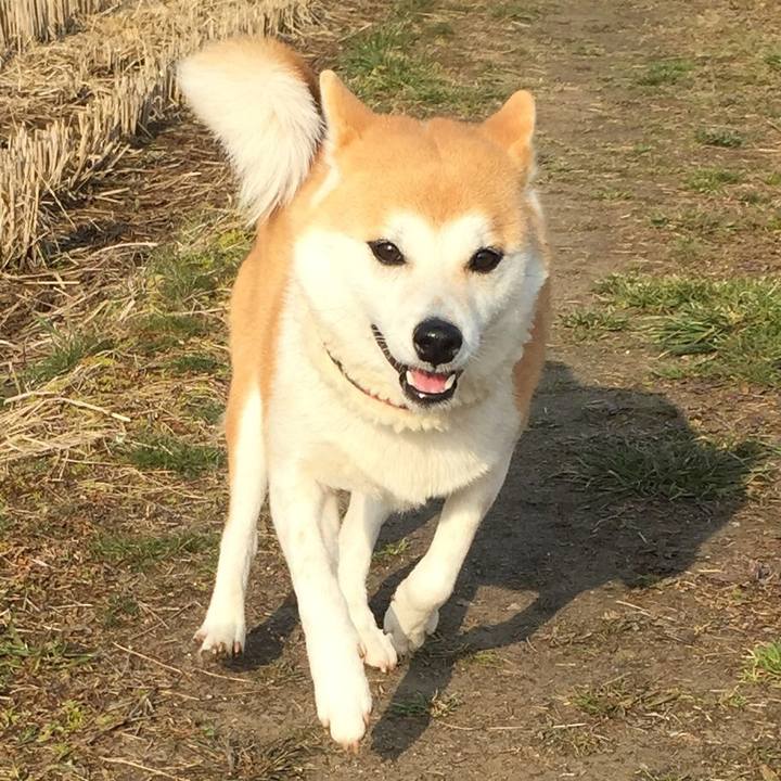 Eaed249f 8493 492a abd6 b52c62776138 1517208146705