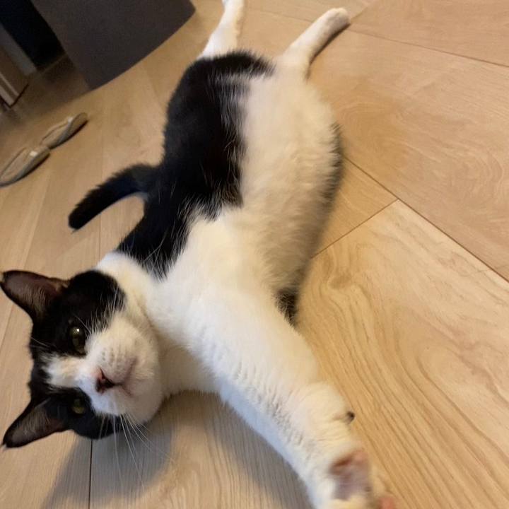 Eaed377b dcbd 4e59 8bcf a8bd4c96565c 1717936709798