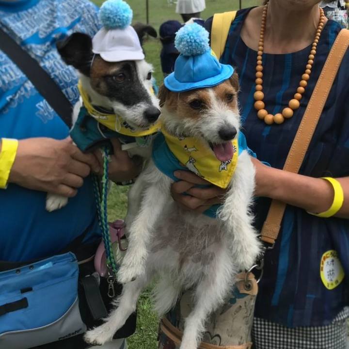 Eaed3f10 e719 407e 82ec dd535cd5adf4 1566817114729