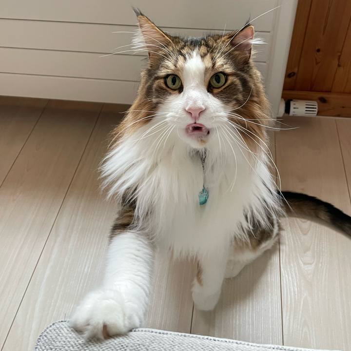 Eaed3f89 1f45 40e6 9310 e100d1fcda63 1723965910094