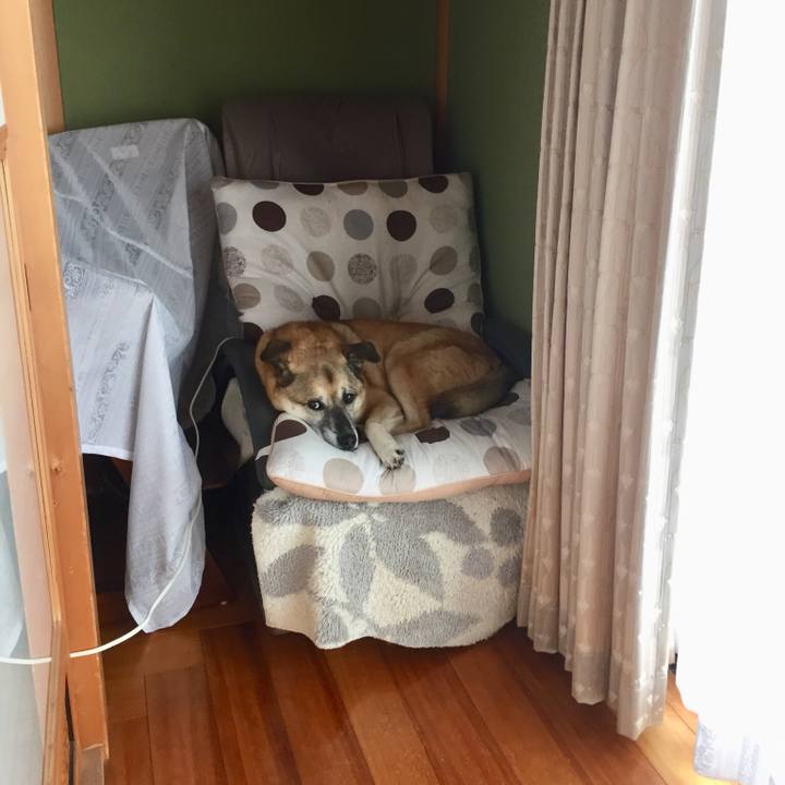 Eaed88ce 6358 493b 8fe7 f6eaec26f479 1539936450103