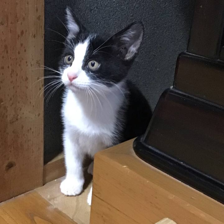 Eaeda3a0 a7a4 4672 9d85 b527578fcb38 1624843169413