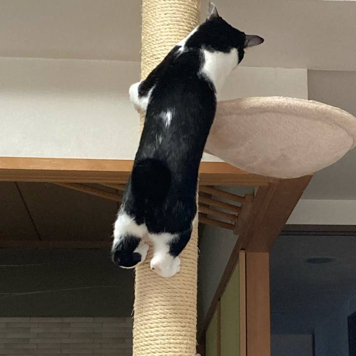 Eaedaed8 c70a 4c05 8a1d 147f3fa650d5 1668813422819