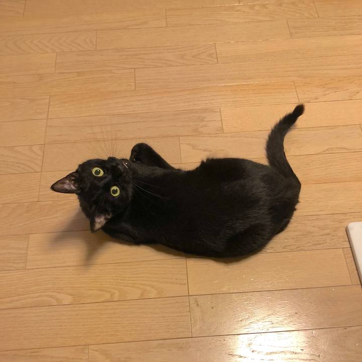 Eaedf7ec 65ee 4720 87a1 7126346b91c6 1527424357677