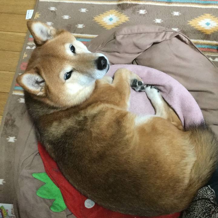 Eaee0a72 31dd 4feb b520 78b6b3cda4ad 1554692190317