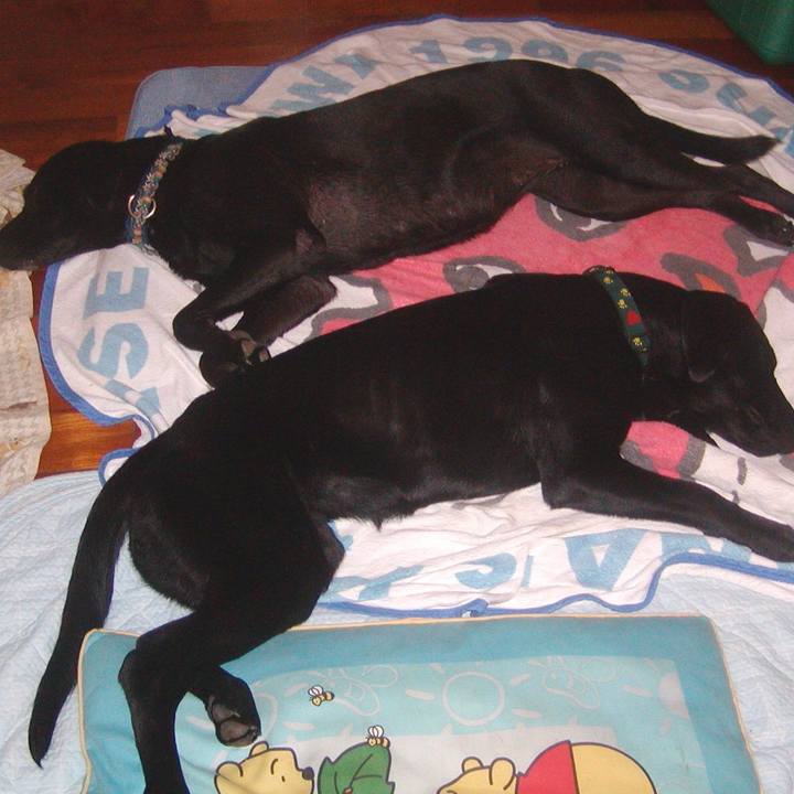 Eaee205e d862 4abe a931 b6d1cd0454b0 1510584064092