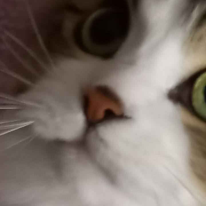 Eaee452f a9cf 417b a9f1 f0d7c9a02a45 1616224178619