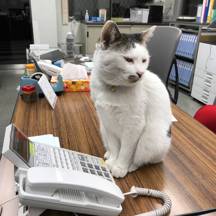 Eaee5697 2f64 42d4 aee6 59e82f668722 1511165079009