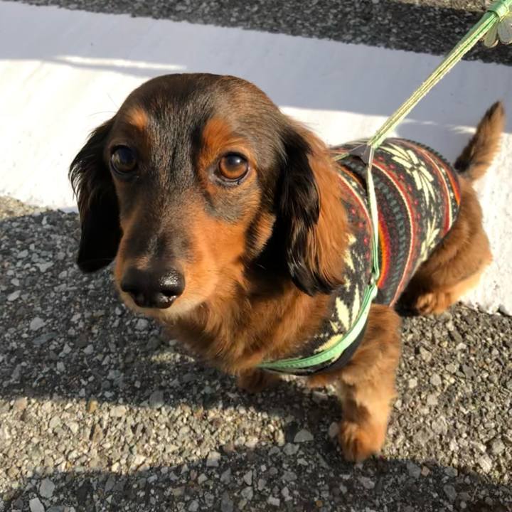 Eaee5862 f346 41e6 b6b4 0c00101699bf 1613227088660