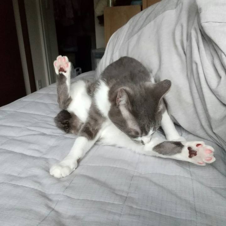 Eaee7d47 5cf2 4901 9096 1c38173f62f3 1618615407568