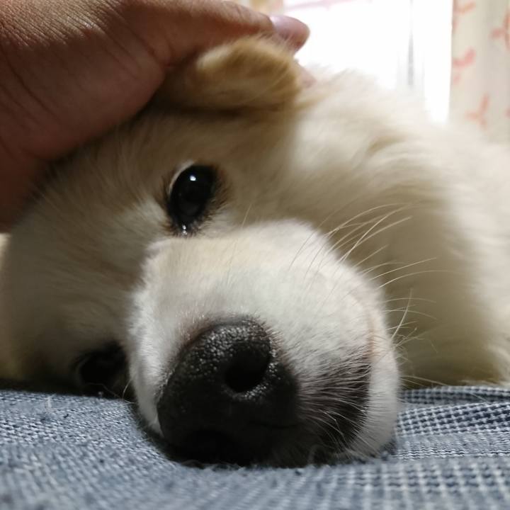 Eaeea018 0433 4b0c b414 30b6268b2e54 1535492834959