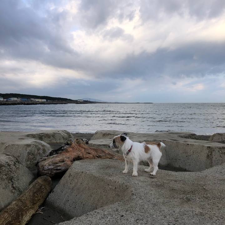 Eaeeb0e8 237a 4532 b98e 24a61c3877e0 1605483344307