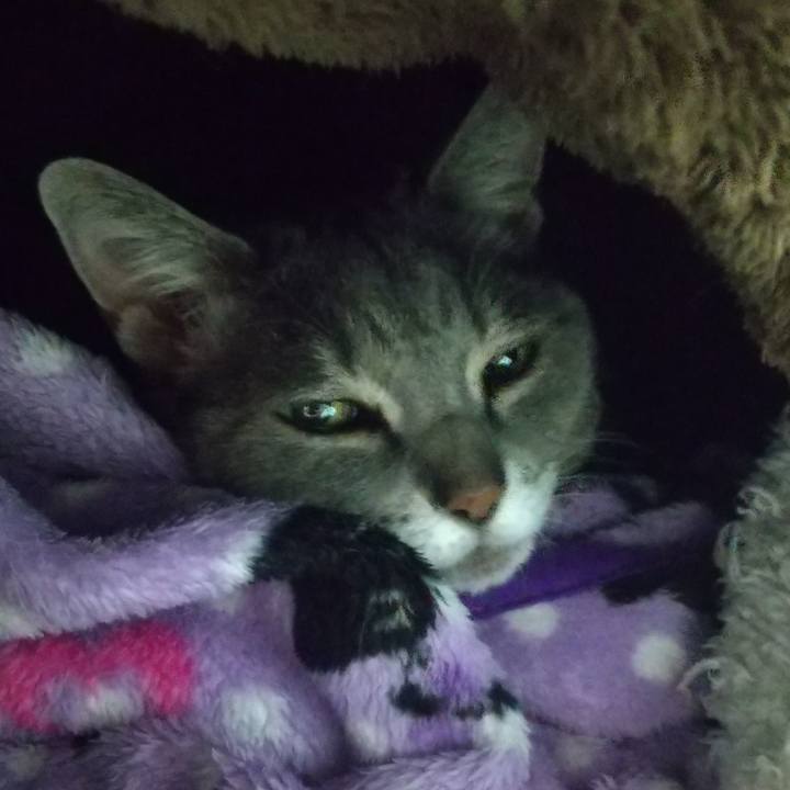 Eaeecd57 02d6 4080 9398 f8c5e56fe2a1 1611315519334