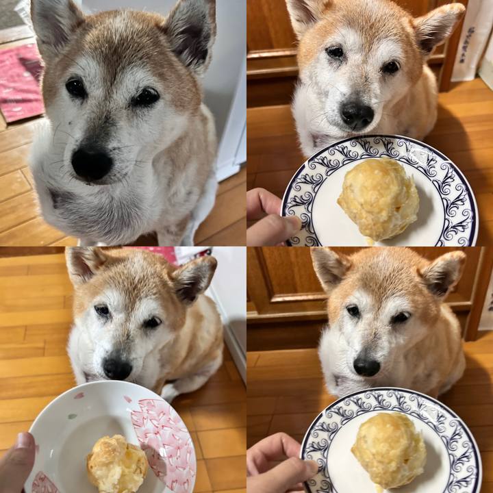 Eaeee17b a77d 4005 a774 414a1b1a618b 1760167070004