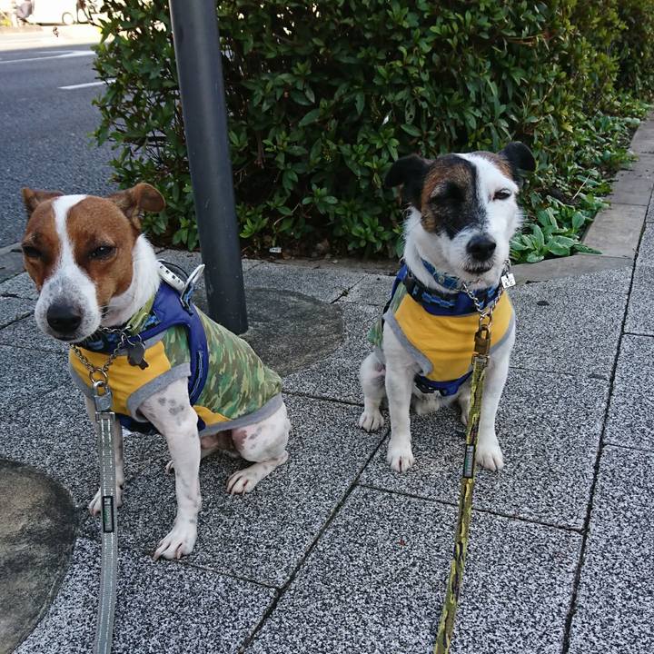 Eaeeeb26 6e8b 4eca a441 522b7dfae210 1601421961637