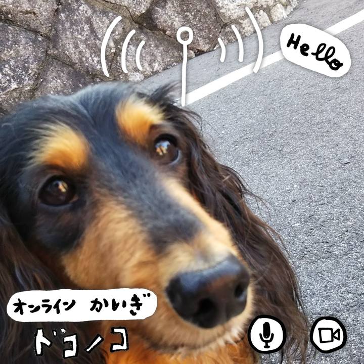 Eaef1442 fb58 40e9 9814 a3386ef4f712 1590733924867