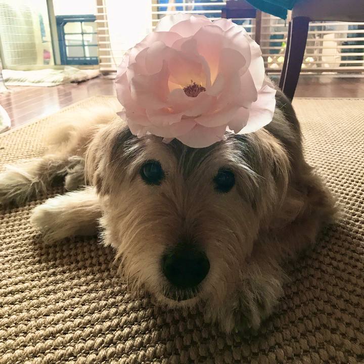 Eaef1a34 0b71 47a7 a426 7982093e2547 1682130651550