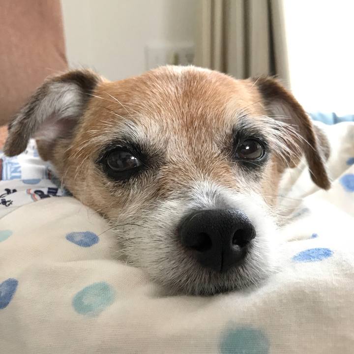 Eaef1bd1 08a4 48fc b8b2 30b0bd0a6ee5 1602829106929