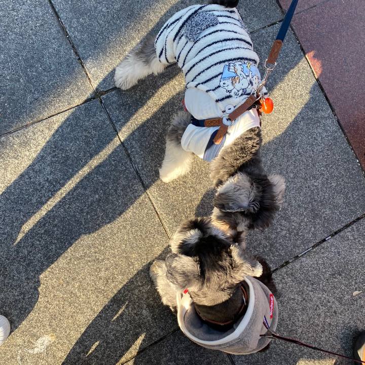 Eaef291b 22ab 4671 a42d a5f5f016f477 1575210392283