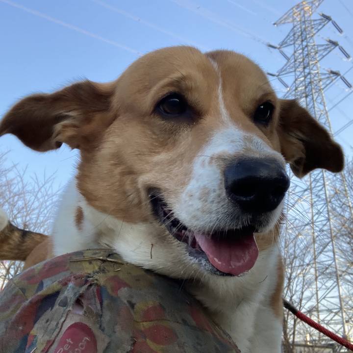 Eaef4ab0 0a38 4ff4 b039 2f1de2d89b7a 1741999248292