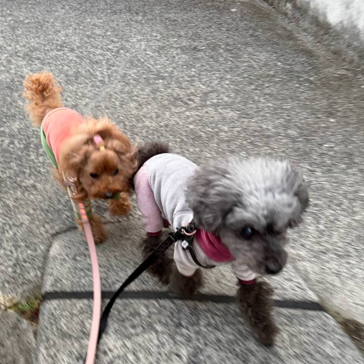 Eaef5b3a 3e60 44ec b453 eeb4fcaffcb7 1768176262051