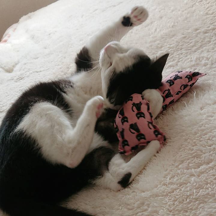 Eaef6a66 49d9 422c 9b3b ec909c1ee95e 1517104924489