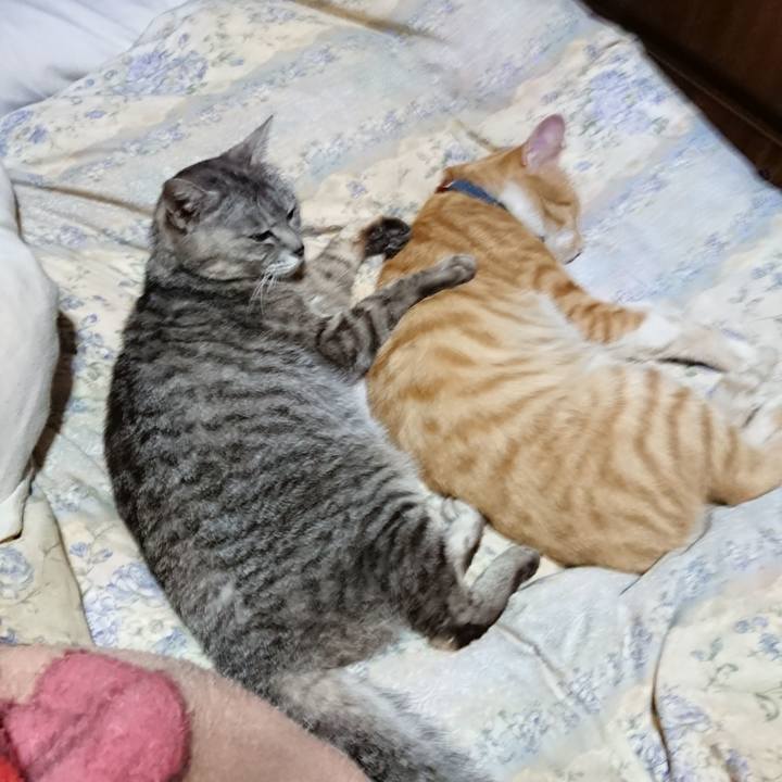 Eaef6dc4 0871 4f34 8859 e3c81e46dd43 1562763019468