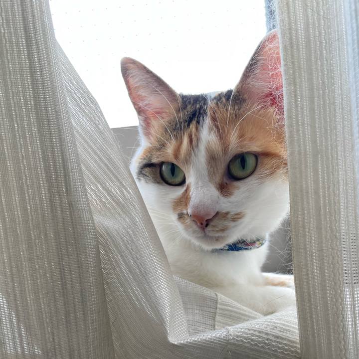 Eaefa0a7 986e 46ef 8266 69a68fe1c4b9 1690414481862