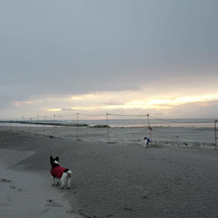 Eaefc383 ff83 4425 95c8 52a4175c16e2 1517201561648