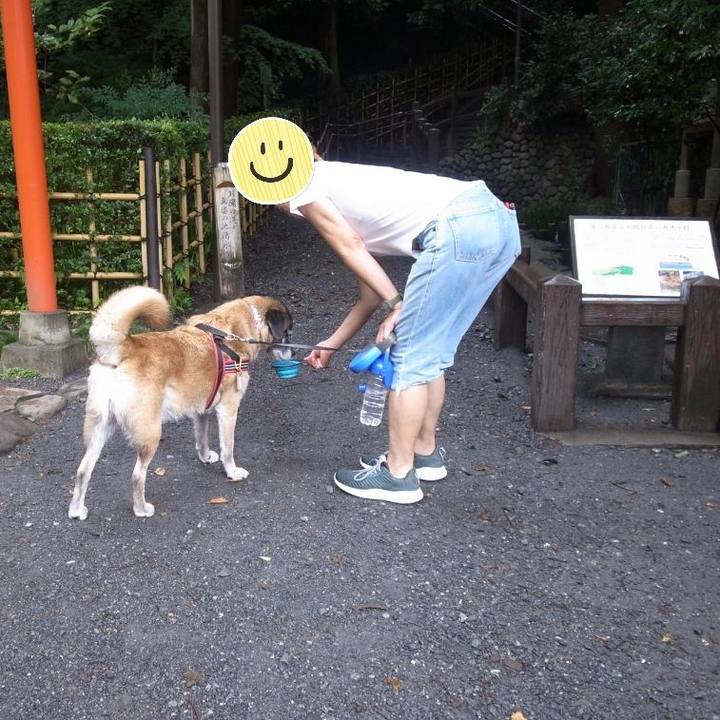 Eaefee66 6885 4c74 9af5 90b99f0d6c33 1611792900718