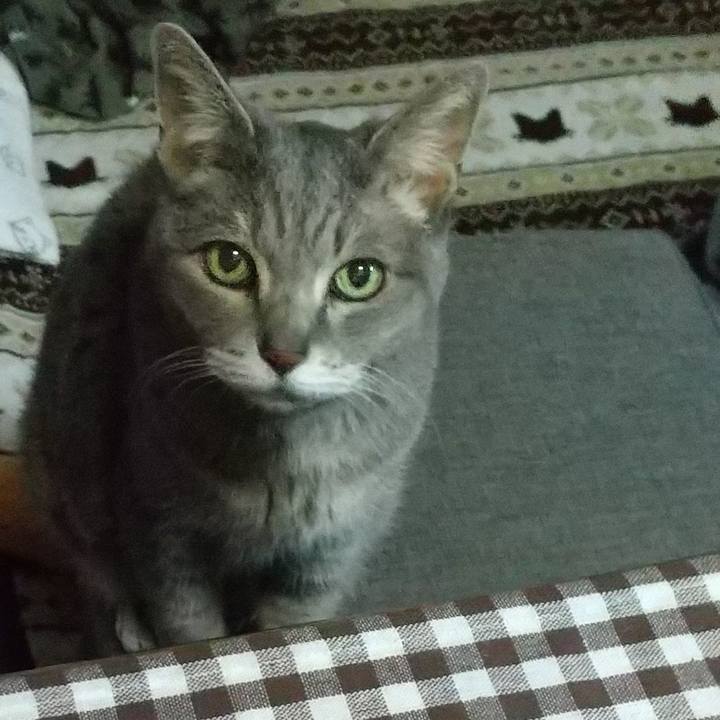 Eaeff969 8438 4142 ac5f 07ba444c924c 1678450408913