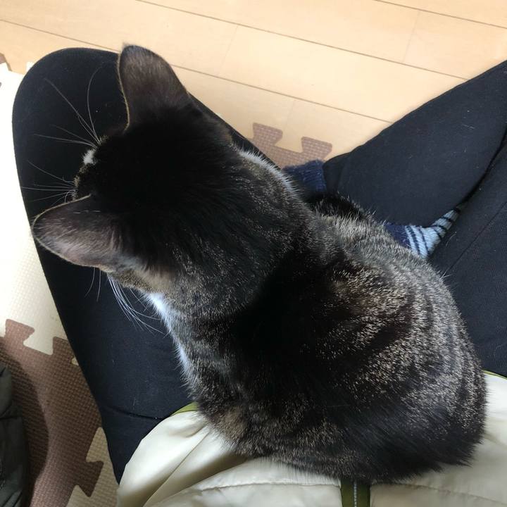 Eaf037d4 ed83 49cd 8c0d 4fed475c3610 1516693941603