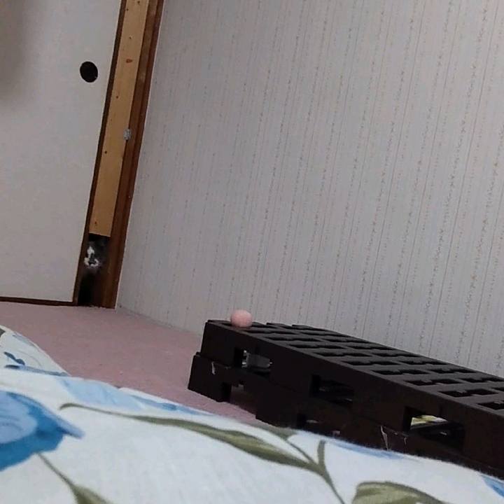 Eaf03b95 c9fc 4458 a924 bce496ce6a06 1676526930830