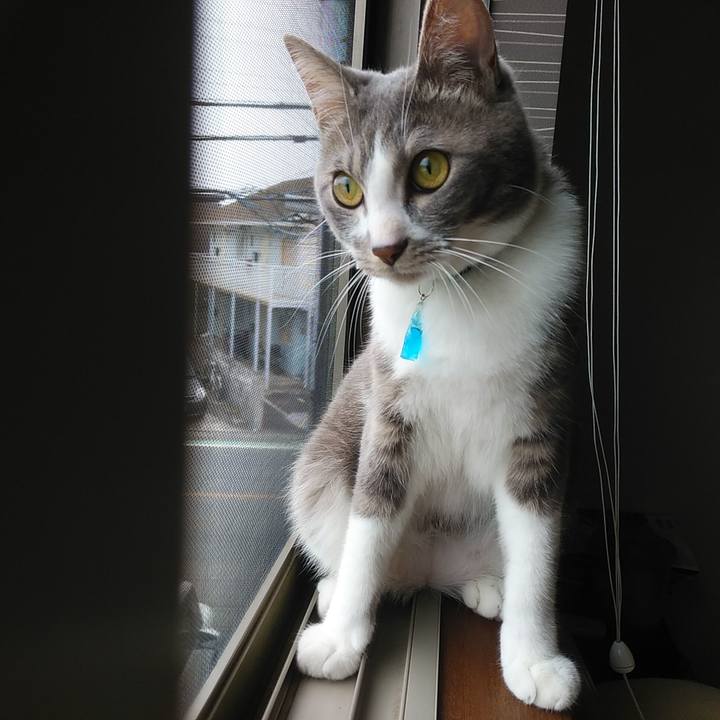 Eaf03c43 aa7b 4cc9 b7d1 7b6971441682 1591223220355