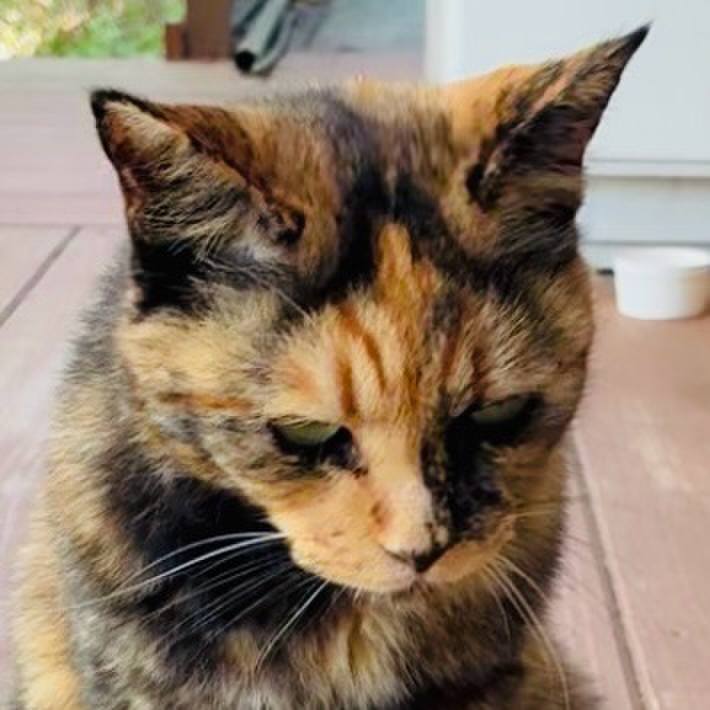 Eaf076c7 bfcb 4ac5 bb32 5f95c9db4b1b 1754013708812