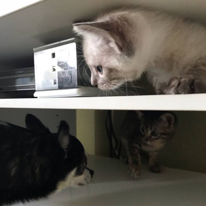 Eaf09757 4d63 4cf2 bb51 ebf528622c92 1557959292360