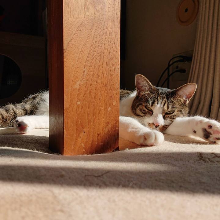 Eaf0a000 b6a4 422a 9cda 749807aba2b8 1604121729302