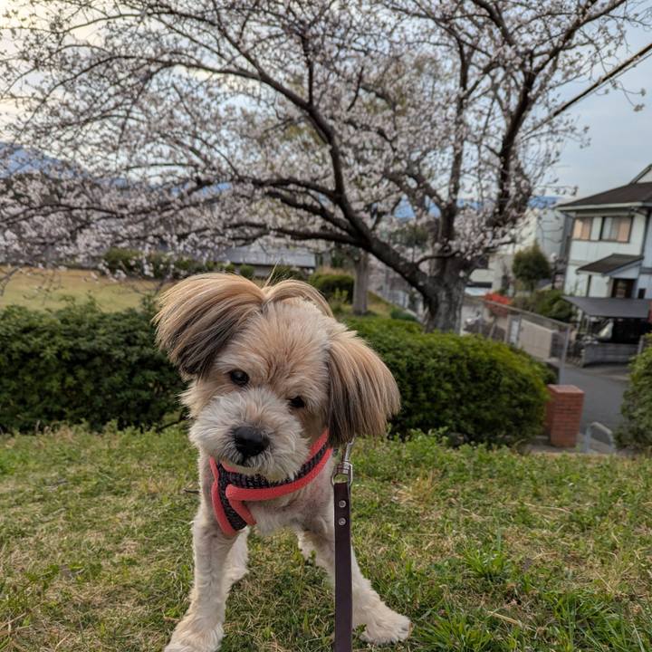 Eaf0f799 02c9 427d a9fe 05ec6c656ff7 1743464936514