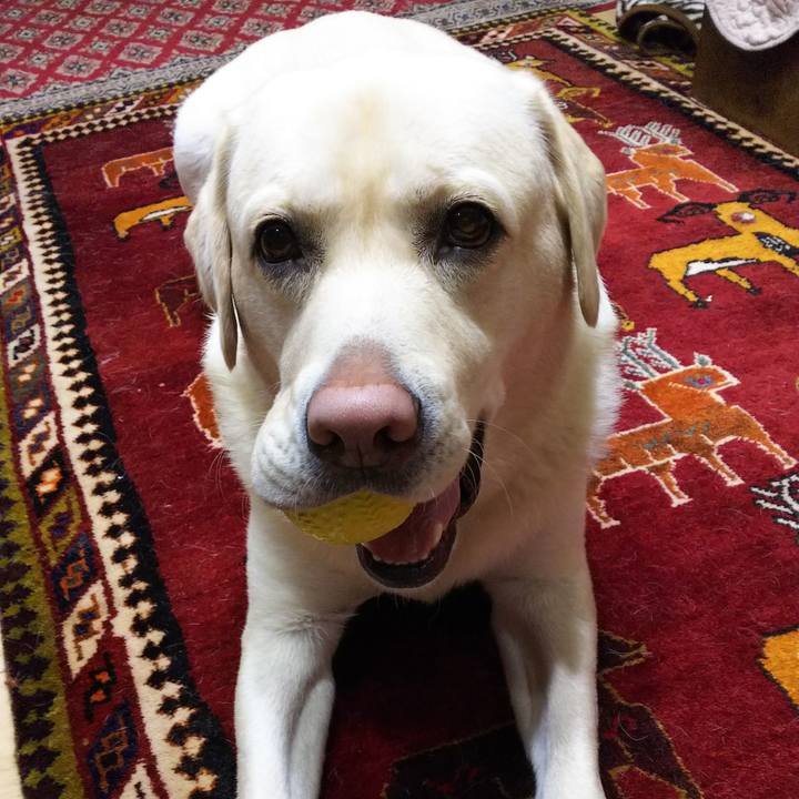 Eaf115b1 5704 4ca5 90e7 962156089bcc 1577101438360