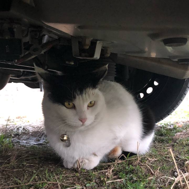 Eaf11686 7500 46a3 b0a7 9cd5ddb210c7 1612612108844