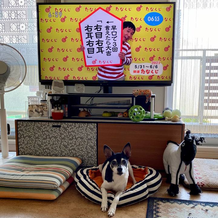 Eaf11ade 0802 43ab a20c 3954e68aeffc 1622412367557