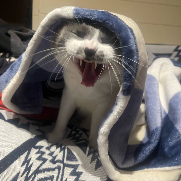 Eaf12fcb 0785 4000 a434 981f7c4083c7 1672928668224