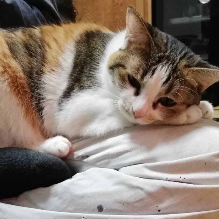 Eaf17103 a574 48af 8cfe 524c2e843921 1608762208451