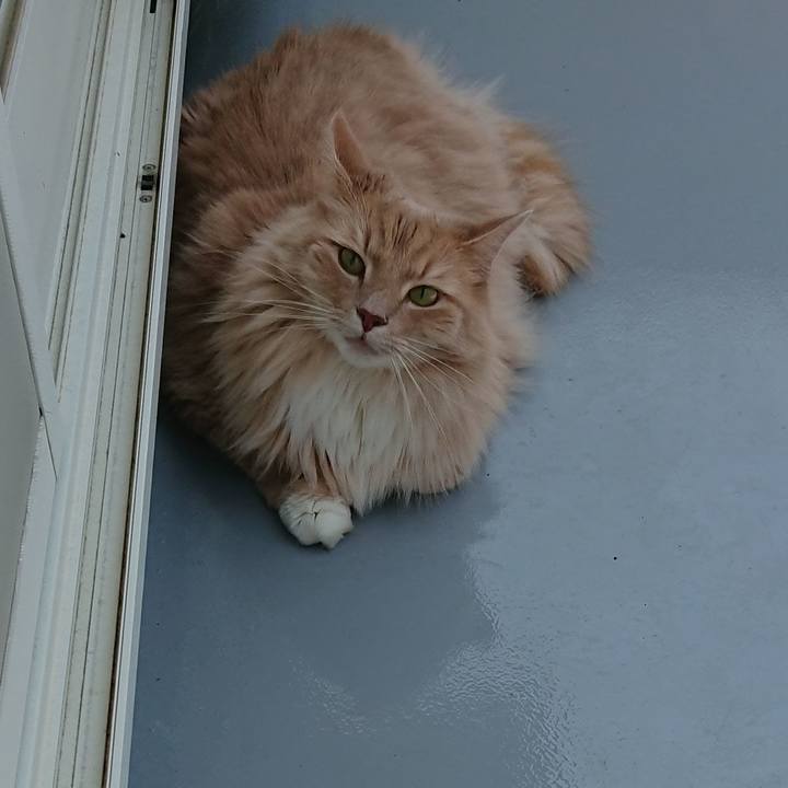 Eaf1d424 2b3d 4329 b5b7 f6632927e28a 1530061960191