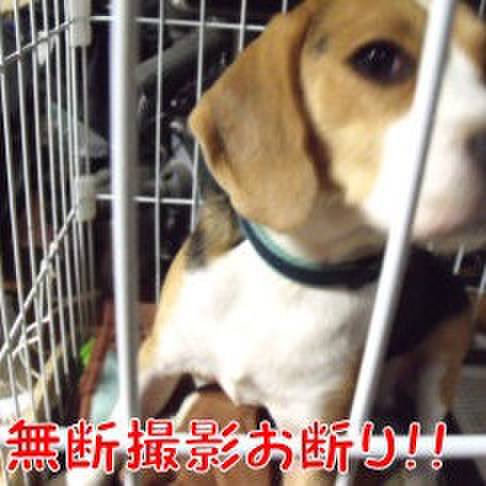 Eaf1eca2 aa85 4699 a8e0 d60df5391f8c 1698364742363