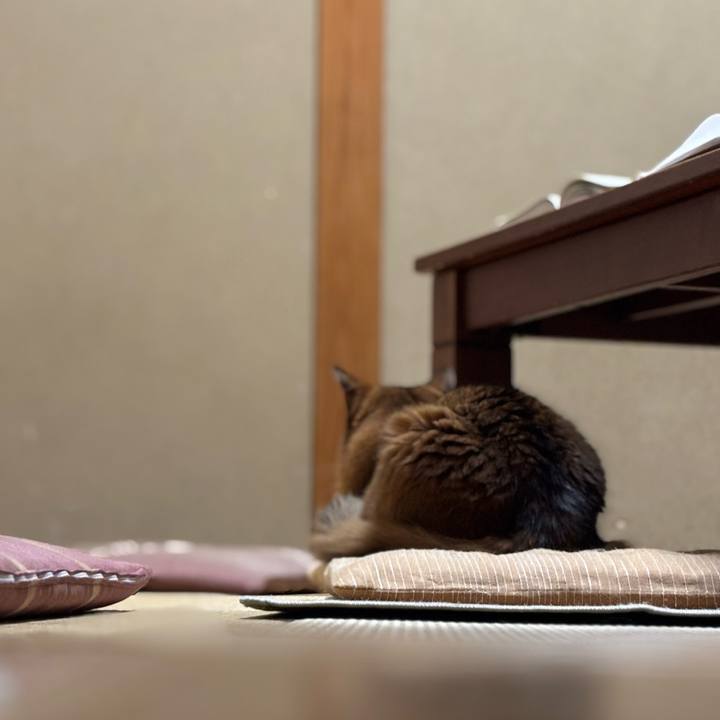 Eaf1edb4 c455 494d 9a02 754435b60a4d 1760099403148